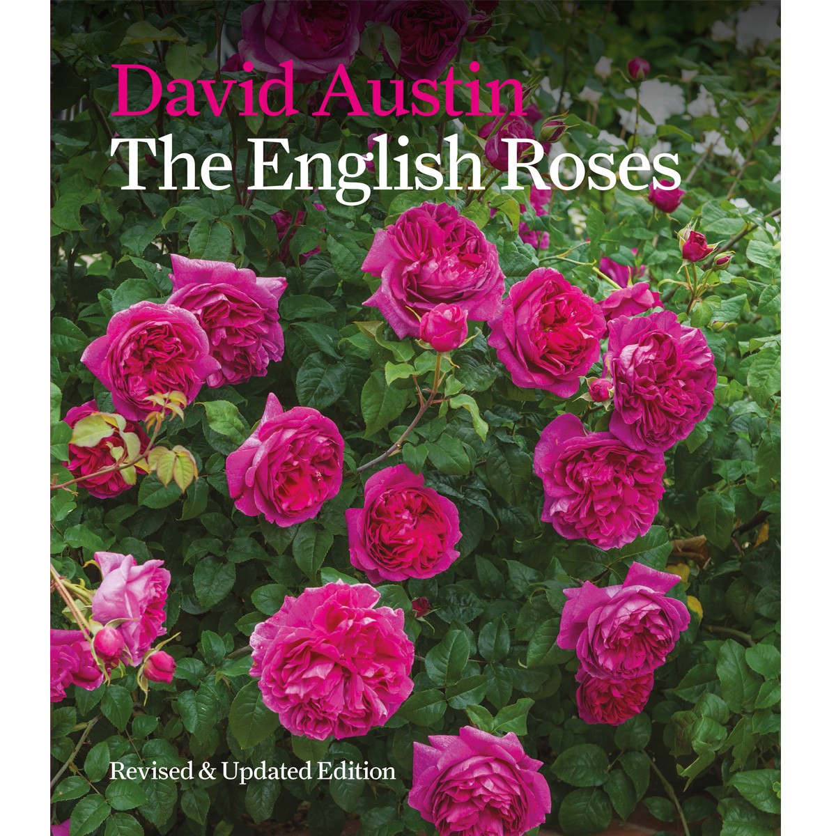 The English Roses David Austin